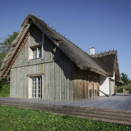 Villa Bumba Liigalaskma Екстериор снимка